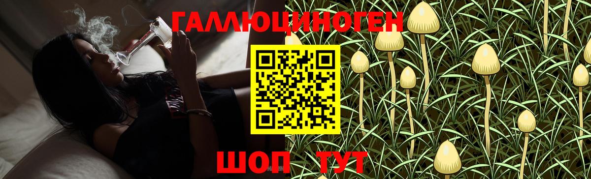 Галлюциногенные грибы Psilocybe Богородск