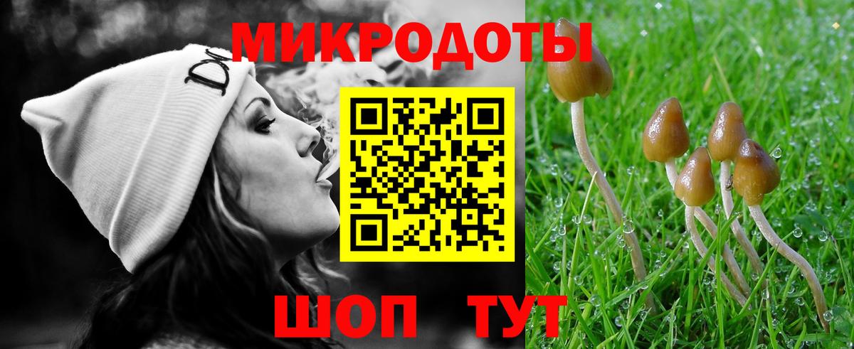 Богородск  Псилоцибиновые грибы GOLDEN TEACHER  Вход с VPN 